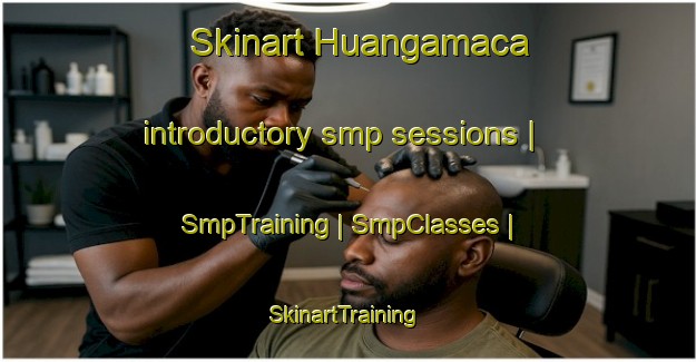 Skinart Huangamaca introductory smp sessions | SmpTraining | SmpClasses | SkinartTraining-Peru